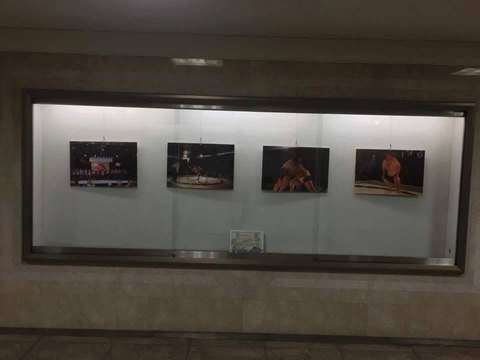 Egyptian Gallery in Tokyo, Ramy Elgazar's photographs exhibited in a Tokyo metro gallery