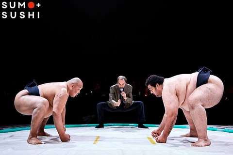 Two sumo wrestlers crouched at the start line with a referee during the Sumo and Sushi dinner theatre show